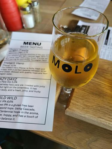 Molo Brewery beer tasting
